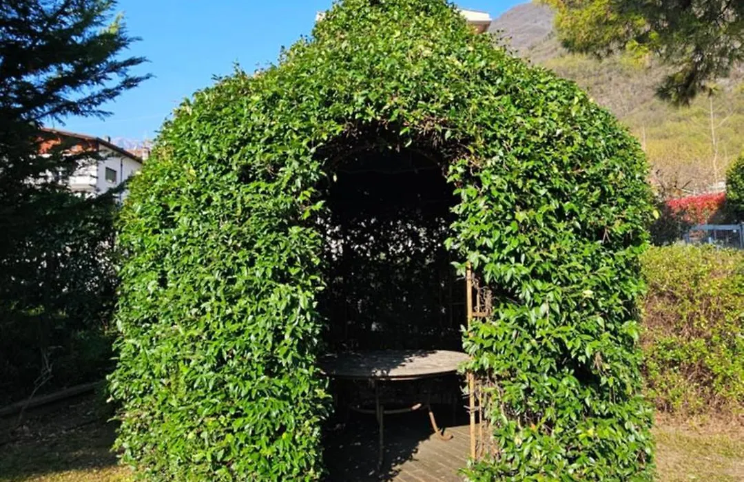 La Baita-1